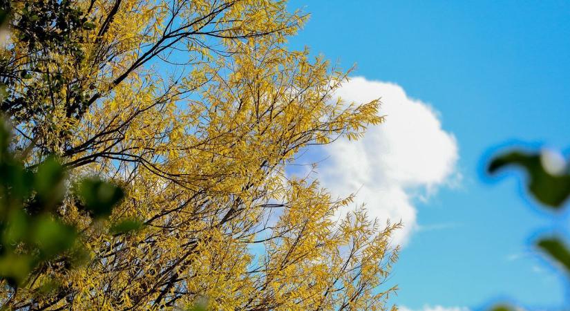 Meglepő adatokat is regisztráltak Vas vármegyében októberben