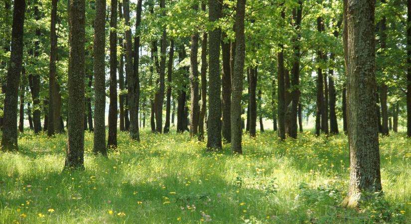 A természet ajtaját kitárta a színészek, a sportolók előtt.