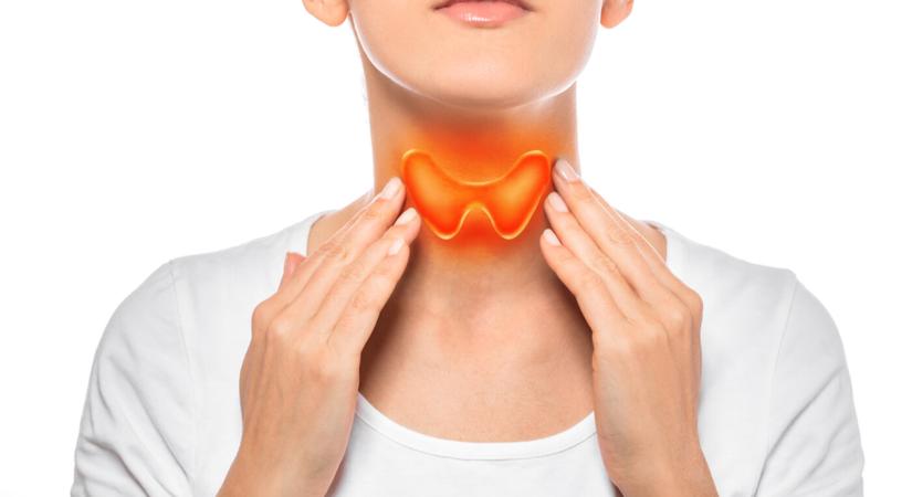 A szakértő szerint ezek a jelek utalnak arra, hogy rosszul működik a pajzsmirigye