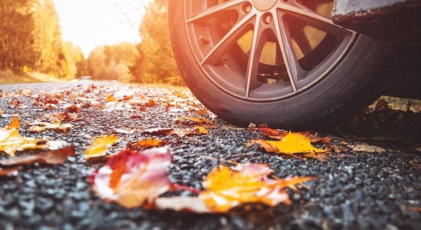 A KRESZ-vizsga után dobod, pedig a rémálmodtól menthet meg, amire az oktató is kér