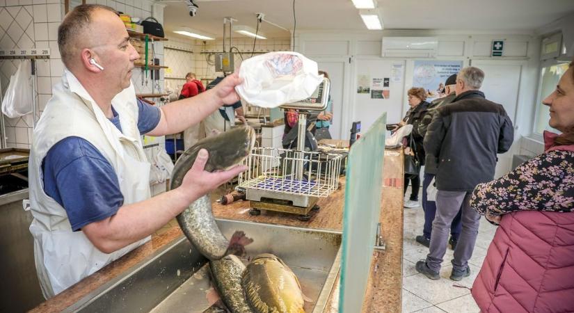 Ennyibe kerül majd a hal karácsony előtt, szerencsére van aki nem emel árat