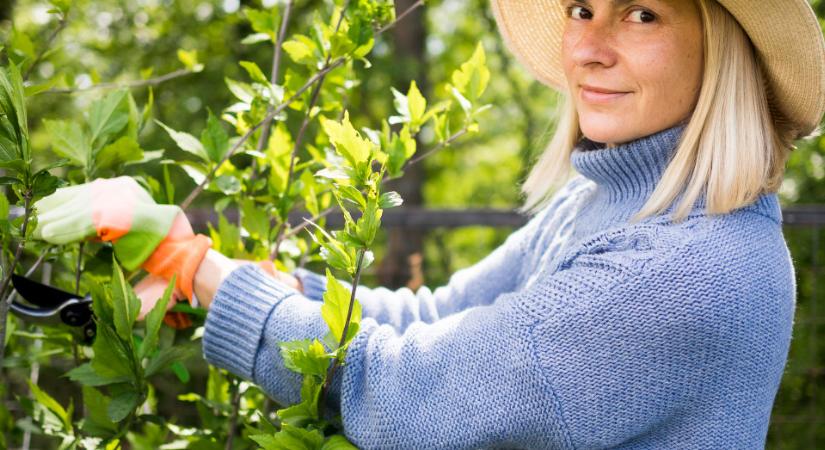 Így védje a kert növényeit a hirtelen változástól
