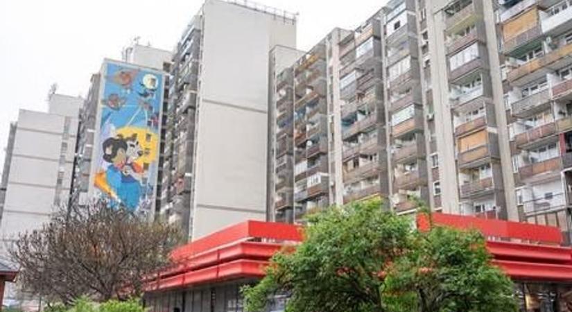 Patkányok, poloskák és bűz a Szigony utcában - a hétvégi választás tétje: rend lesz vagy káosz a Losonci negyedben