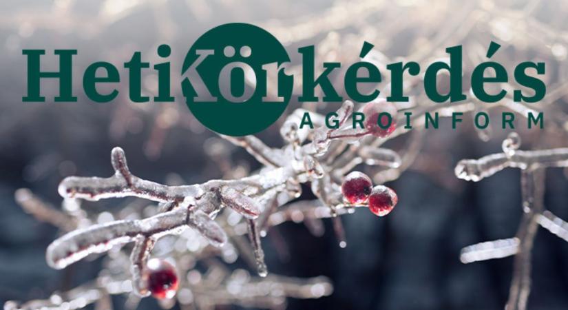 Pályázzunk, de mire ügyeljünk a fagyvédelmi eszközök kiválasztásánál? – Heti Körkérdés