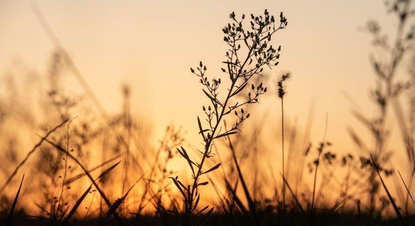 Holnap változékony időjárásra számíthat Heves vármegye