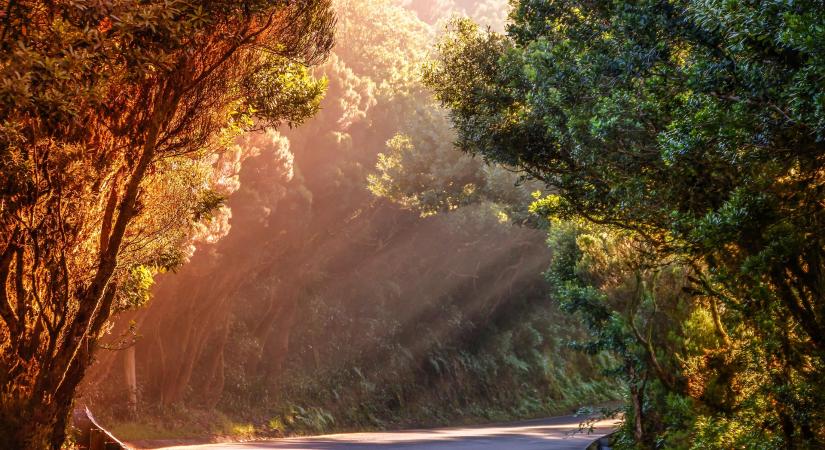 Új konstrukcióban zöldülnek a közutak menti területek