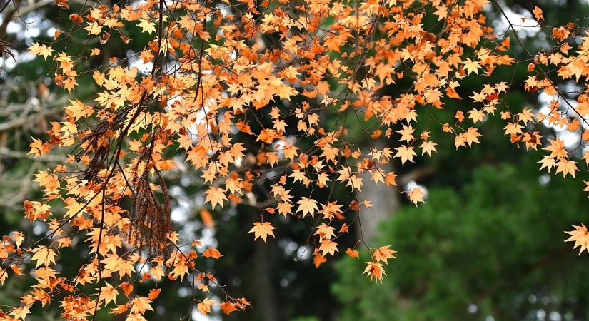 Időjárás: Ne lepődjünk meg, ha jönnek a mínuszok VIDEÓ