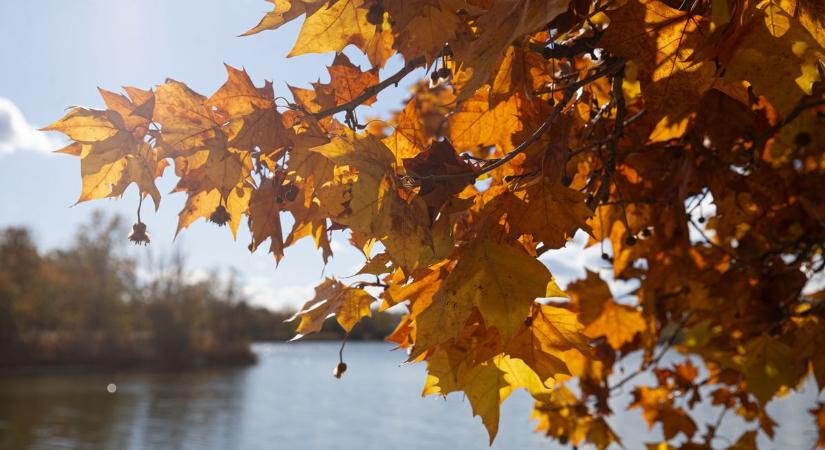 Időjárás holnap: csapadék nem érkezik, napos idő várható