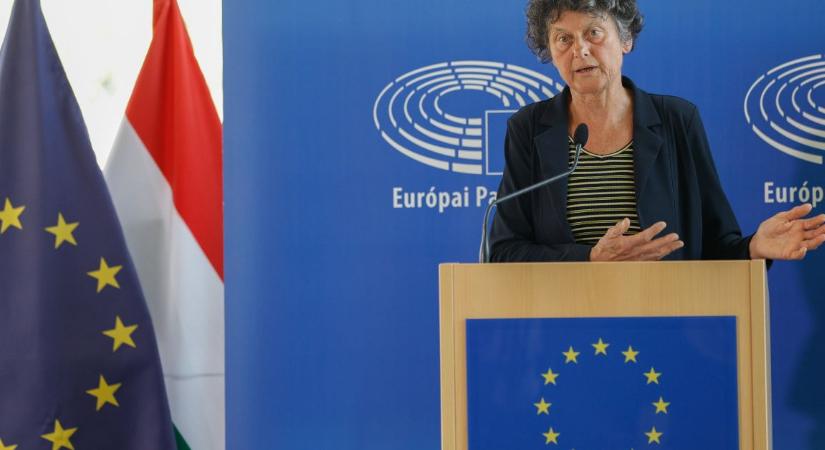 Riasztó helyzetképet vázoltak a magyar demokráciáról az EU-ban