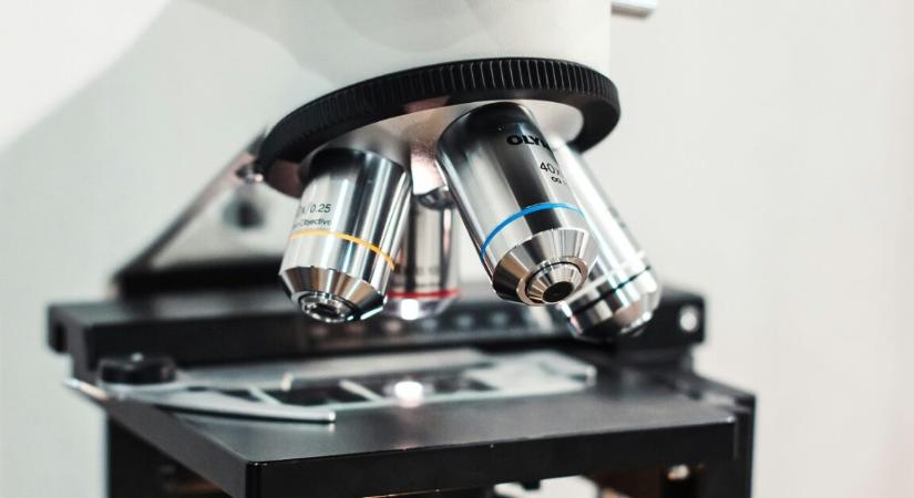 Óriási eredmény – egérkísérletekben már sikerült visszafordítani a szorongás tüneteit