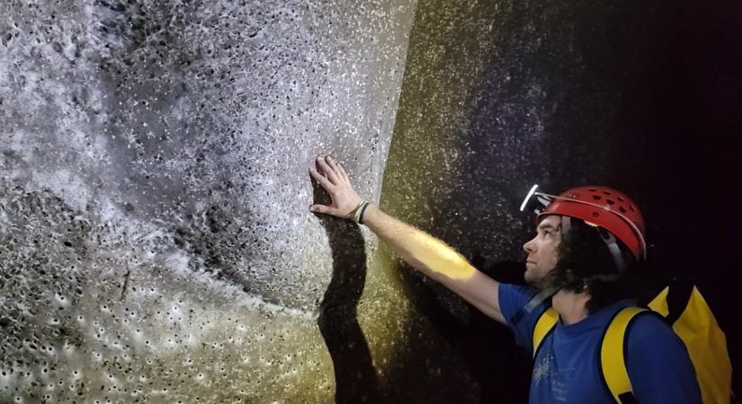 A világ legnagyobb pókhálóját fedezte fel a Sapientia EMTE biológusa vezette kutatócsoport – hírmix