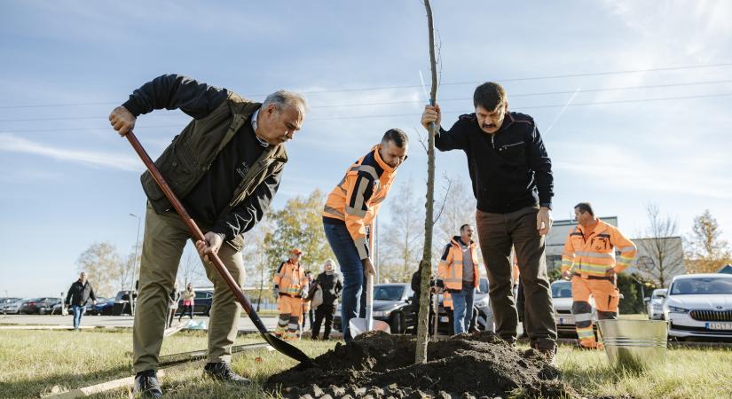 Zöldülnek a közutak a Magyar Közút és a Kék Bolygó Alapítvány együttműködésében
