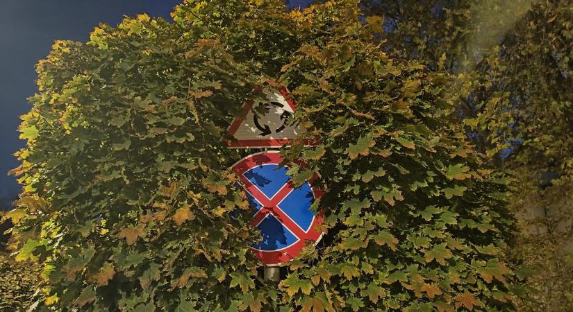 Rejtőzködő táblák az őszi lombtakaróban