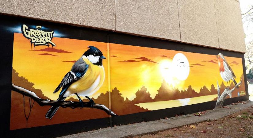 Új mestermű a Kodály téren: egy szegedi művész bebizonyította, hogy a graffiti több, mint firkálás – videóval