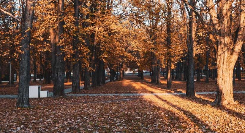 Csütörtökön is folytatódik a napos, őszi idő Esztergomban