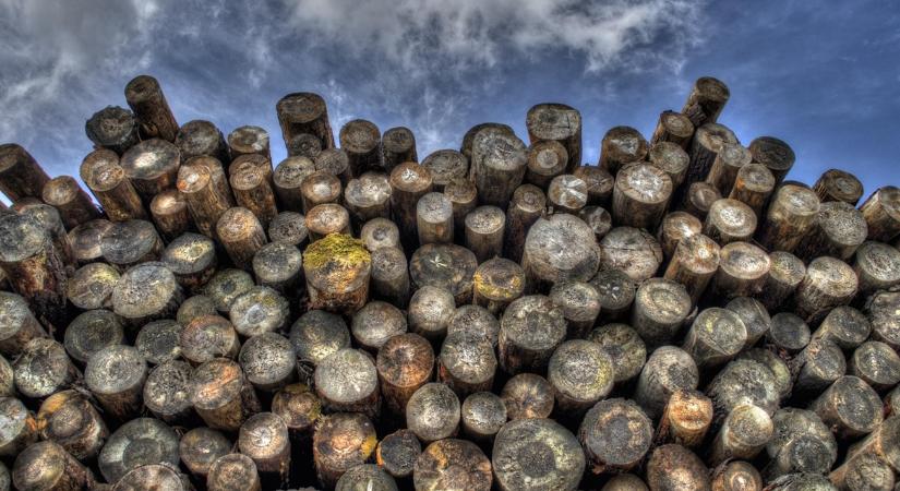 Lehet szidni a fatüzelést, de ez az energetikai tartalékunk