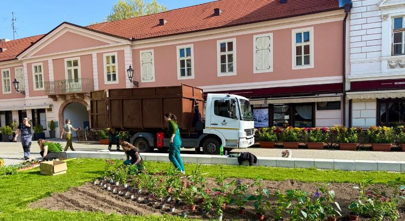 Virághagymákat és takarításhoz való eszközöket oszt a lakosoknak a komáromi városgazda cég