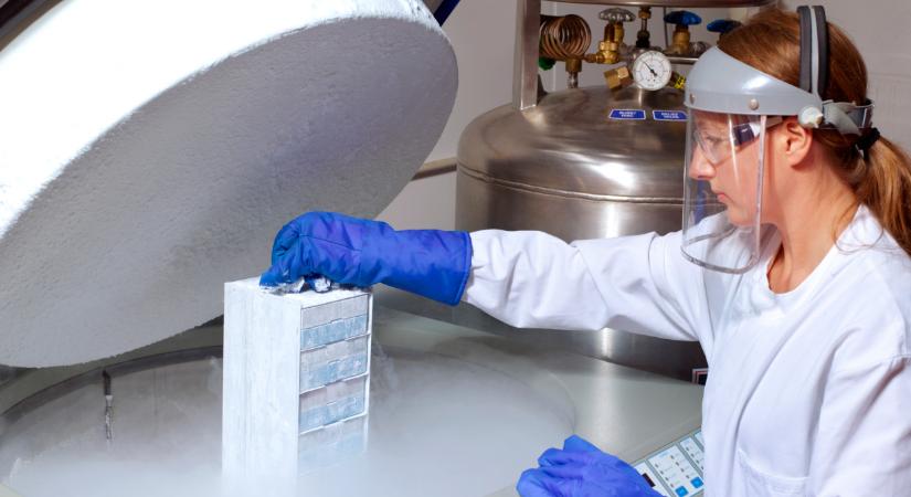 Szép kis summa ütheti januártól a magyar donorok markát: a minimálbér kétszeresét is megkaphatják