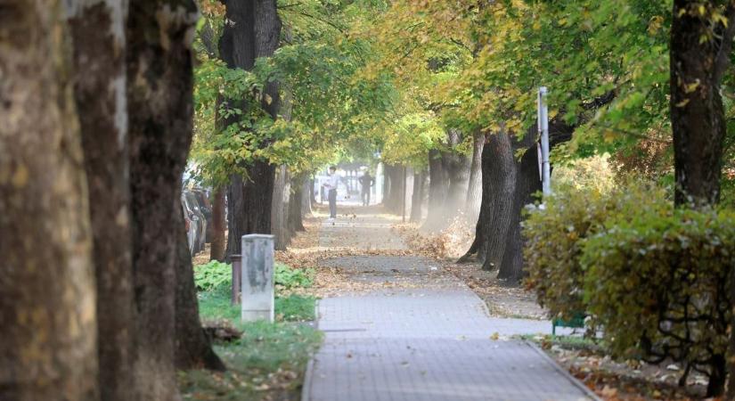 Naponta megküzdenek a levelekkel – Kaposváron egyelőre az ősz áll nyerésre