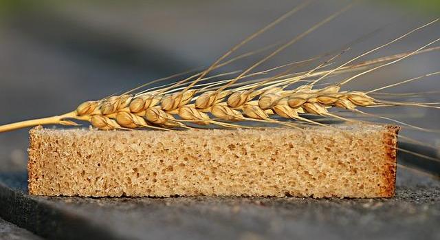 Csökkent a búza és a kukorica termelői ára – a nemzetközi piacok is nyomás alatt