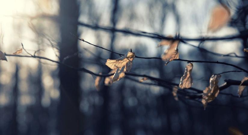 Milyen idő lesz holnap Veszprémben és környékén? Felhős, hűvös napra készülhetünk