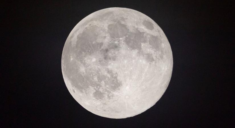 A Hód Hold ragyog Fejér fölött is (kép, videó)