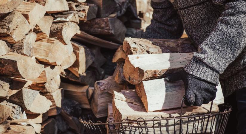 Még a tél előtt megérkezik a segítség: ezrek fűthetnek állami tűzifával