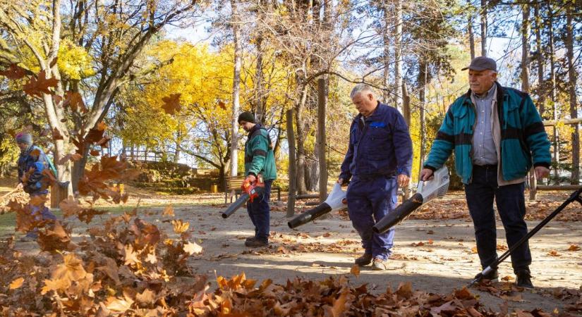 Papp László megnyugtatta az aggódó debrecenit: nem annyira “zöld” a város, hogy helyben hagyják a lehullott faleveleket