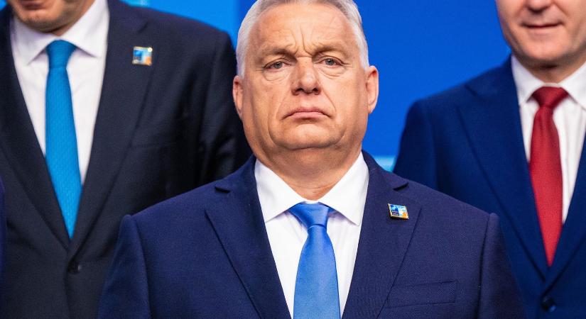 Kitálalt az RTL sztárja, ilyen egy Digitális Polgári Kör valójában belülről