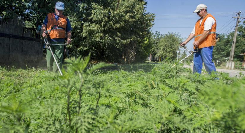 Közmunka: teljesen új számokat adott ki a kormány