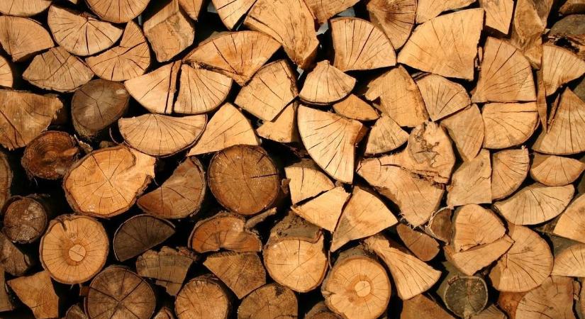 Tizenegyezer köbméter fát szállít ki az Egererdő