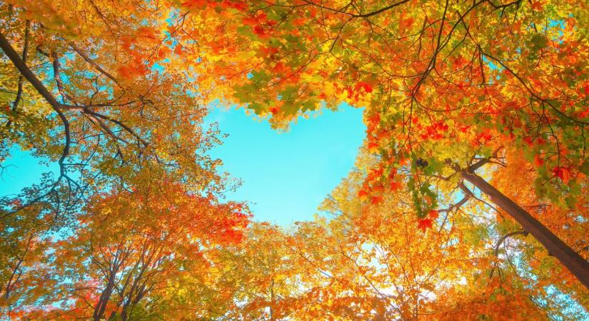 Napos időnk lesz csütörtökön