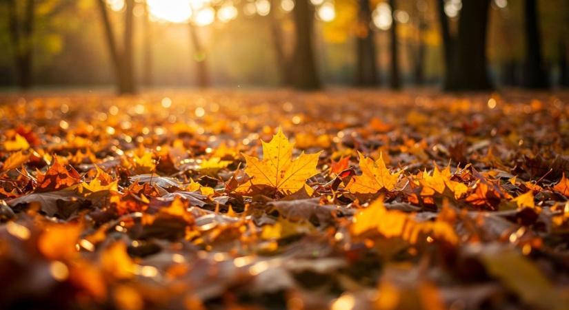 Hűvös őszi nap vár ránk