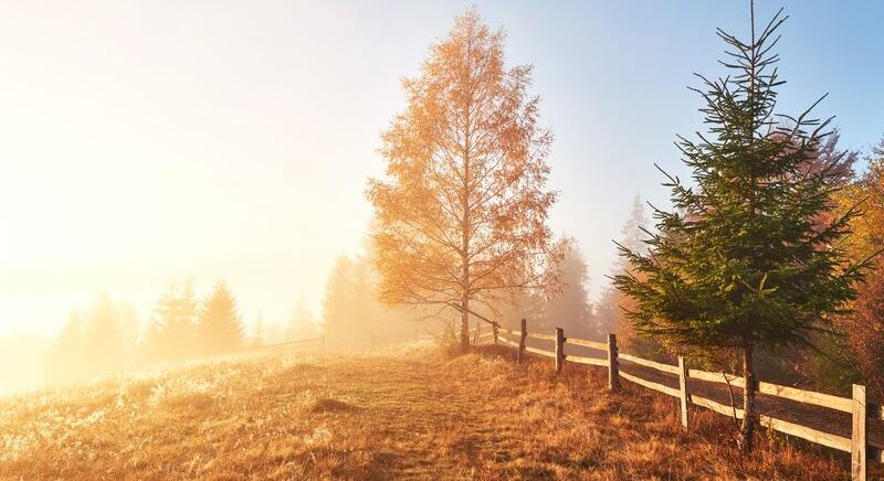 A hideg éjszakát, viszonylag kellemes nappal követi