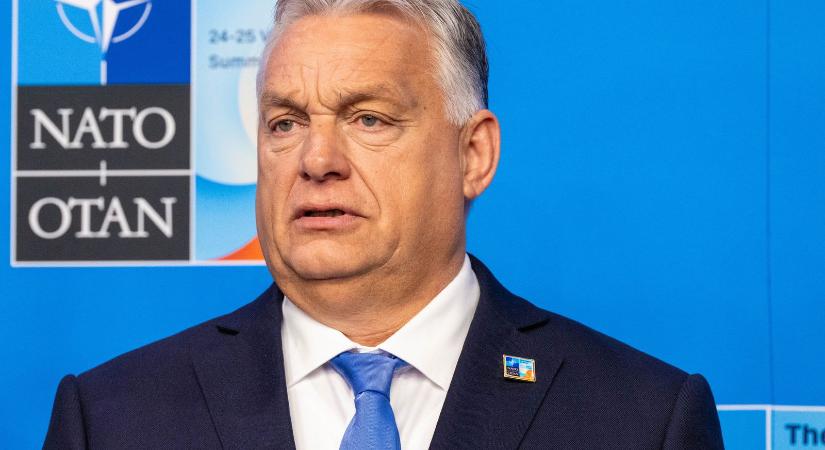 Ő lehet Orbán Viktor legnagyobb rajongója, így még miniszterelnökről nem beszéltek