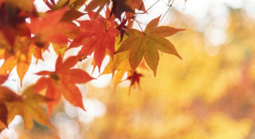 Zavartalan napsütés és 16 fok ígérkezik csütörtökön