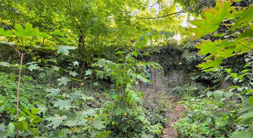 Szorult helyzetbe kerültél? Mutatjuk, hova vihet a szükség a tatai tóparton