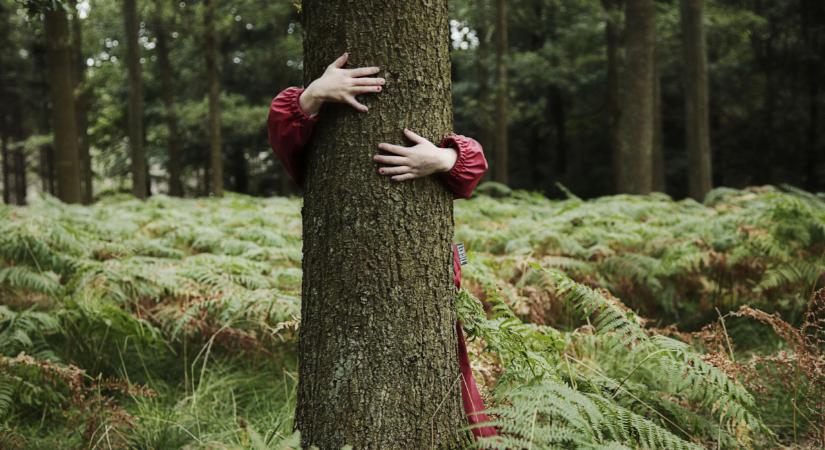 Komoly bejelentést tettek: ez fontos változásokat hozhat Magyarországon