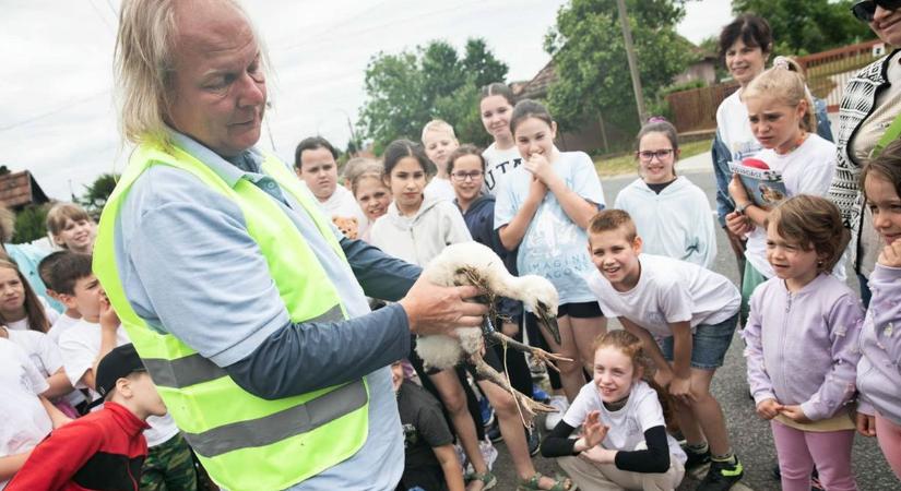 Egerszeget imádják ezek a fokozottan védett madarak