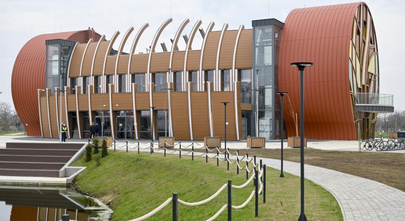 Kong az ürességtől és csak viszi a pénzt a Sámándob