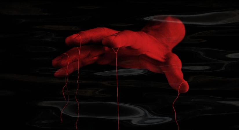 Már holnap otthonról nézheted: Az új cápás túlélőhorror a mozik után streamingre is megérkezik!