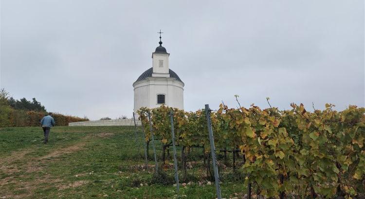 Mikor ad felmentést a vírus a támogatási előírások alól?