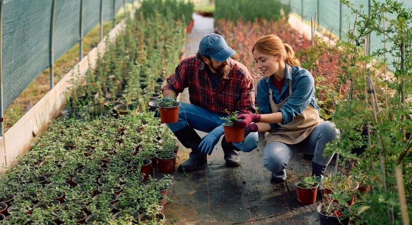 Mitől függ, hogy egy cég (gyorsan) növekszik vagy sem?