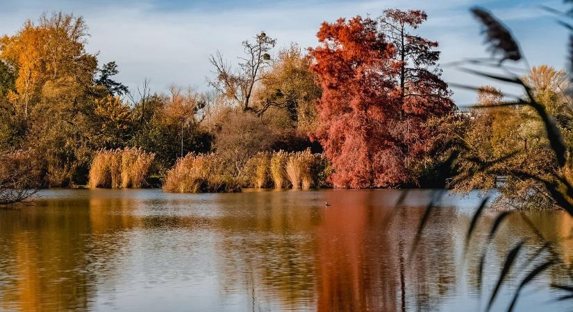 Az ősz legszebb arcát mutatja a Csónakázó-tó Sárváron