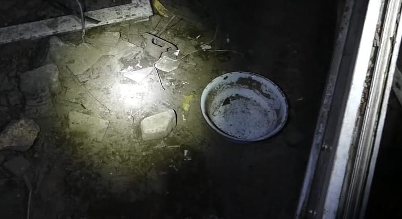 Kutyatetemeket és 58 élő kutyát találtak a rendőrök egy hevesi telepen