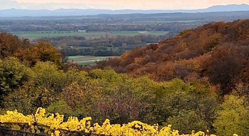 Csalóka időjárás: ma könnyen megfázhat! Erre figyeljen, hogy ezt elkerülje!