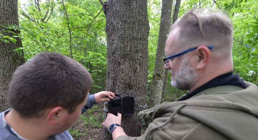 Megtaláltuk a csodaszarvast az ásotthalmi erdőben – videóval