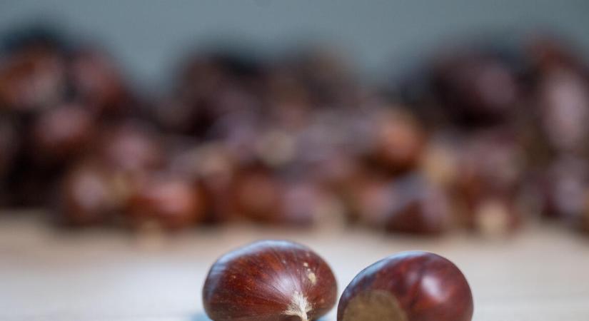 Csoda történt, sikerült újraindítani a magyar gesztenyefeldolgozót, miután porig égett az üzem