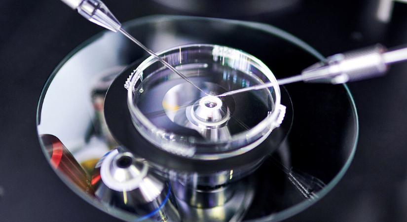 „Megszelídített méreganyag” – Mit lehet tudni a magyar kutatók által fejlesztett rákgyógyszerről?