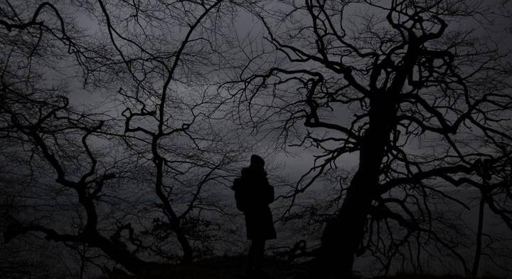 Veszélyes vadállatok tartják rettegésben az embereket: már a hadsereget is bevetették Japánban